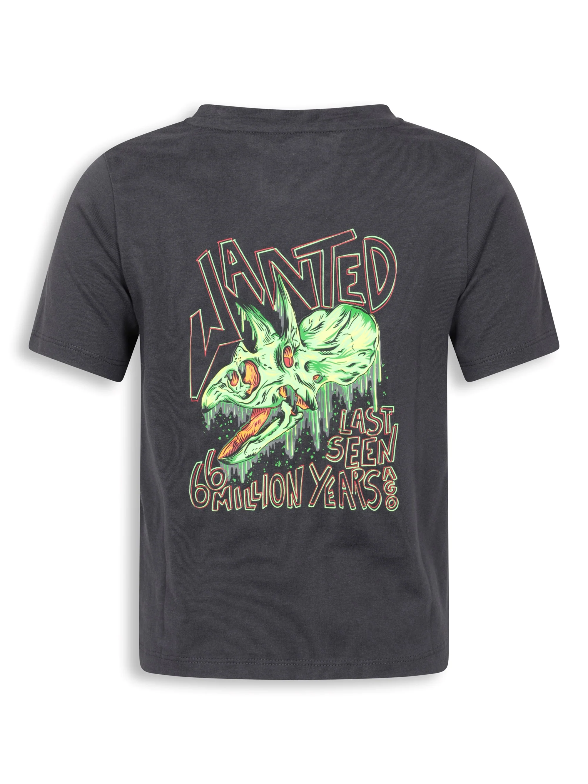 EMS Dripping Dino Kids Short Sleeve Tee - Image 3