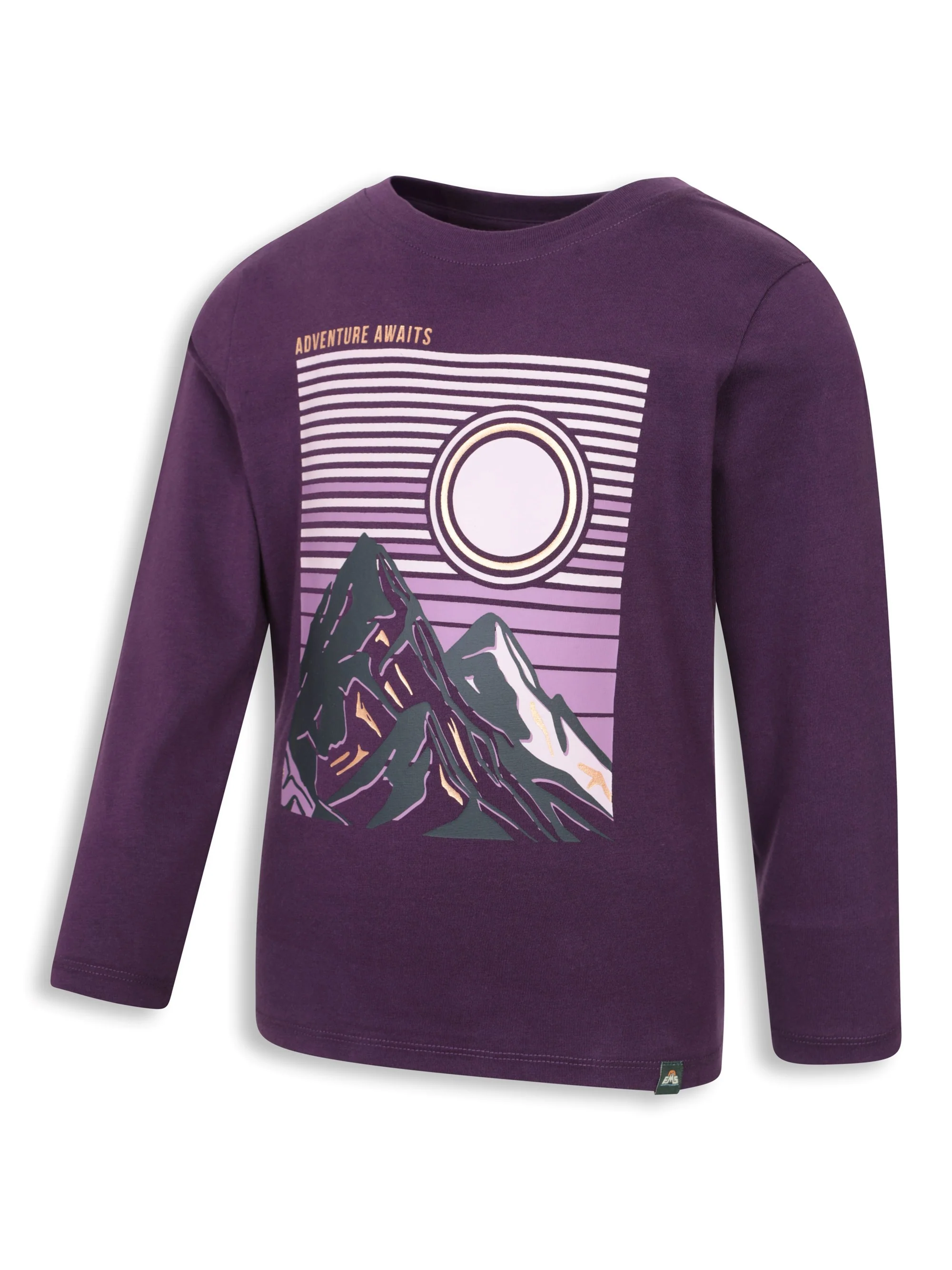 EMS Gold Foil Mountain Kids Printed Tee - Image 4