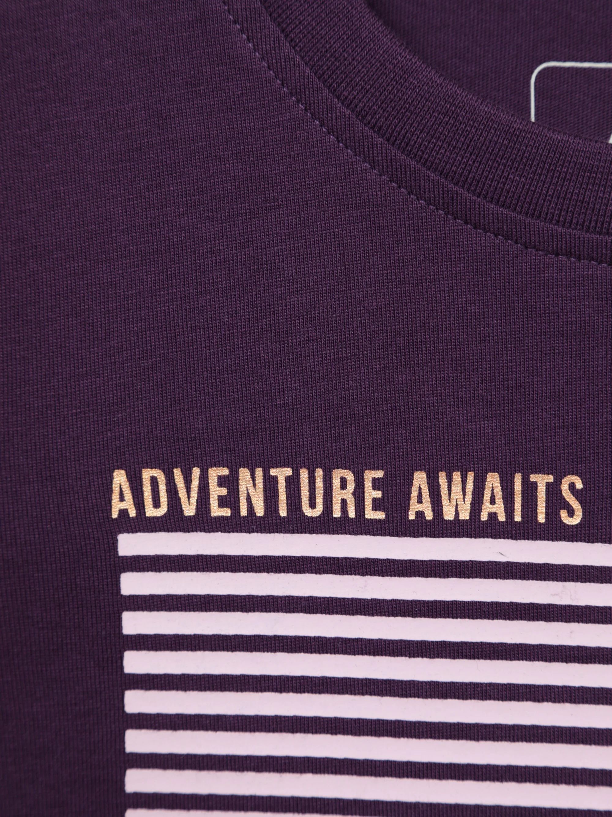 EMS Gold Foil Mountain Kids Printed Tee - Image 5