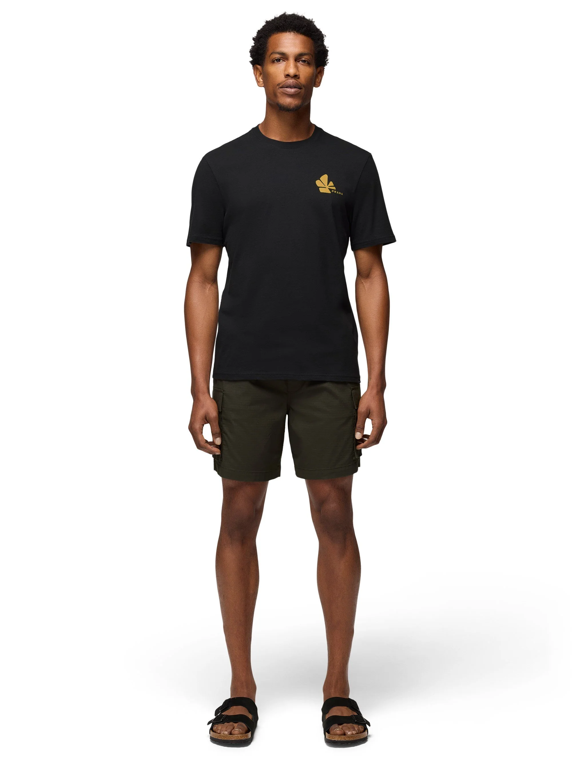 prAna Shining Path Mens Short Sleeve Tee - Image 4