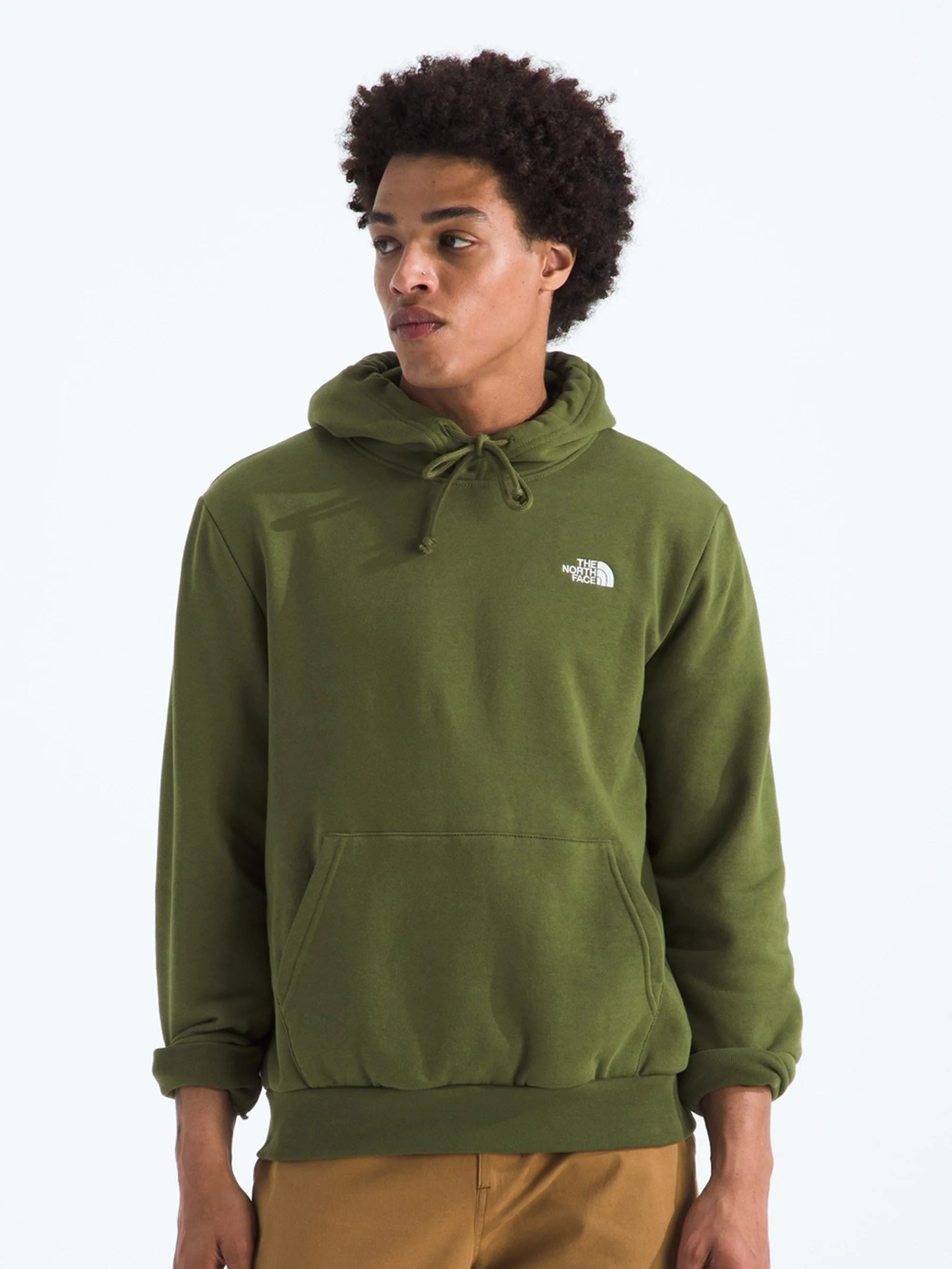 The North Face Mens Evolution Simple Dome Hoodie